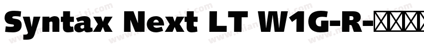 Syntax Next LT W1G-R字体转换